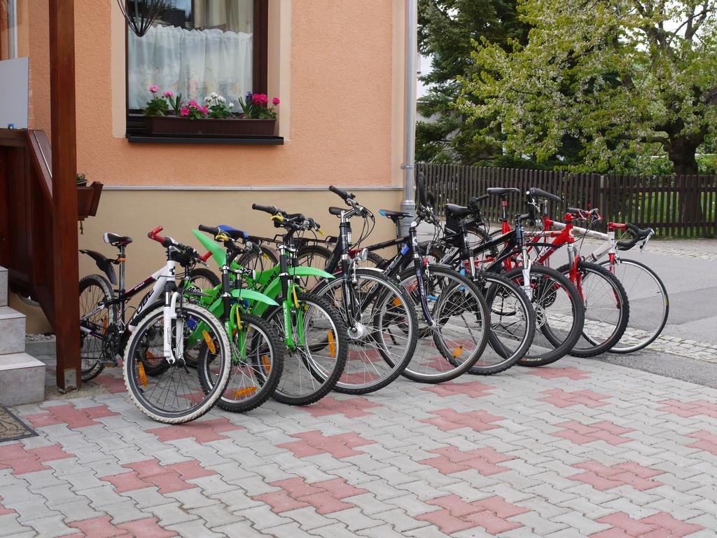 Familien-Ferienwohnung Haustein Konigswalde 客房 照片